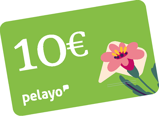 La Velá de Pelayo